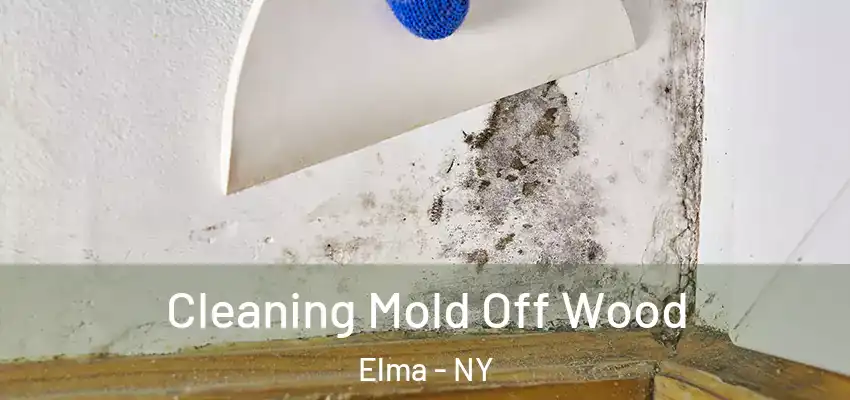  Cleaning Mold Off Wood Elma - NY