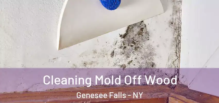  Cleaning Mold Off Wood Genesee Falls - NY