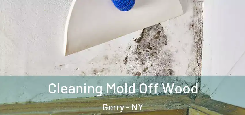  Cleaning Mold Off Wood Gerry - NY