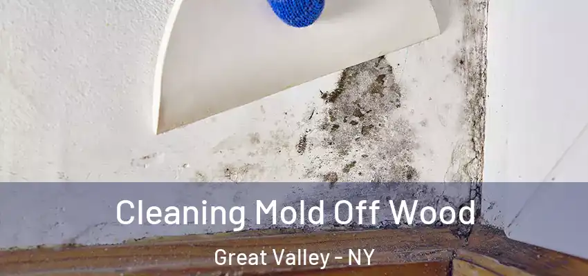 Cleaning Mold Off Wood Great Valley - NY