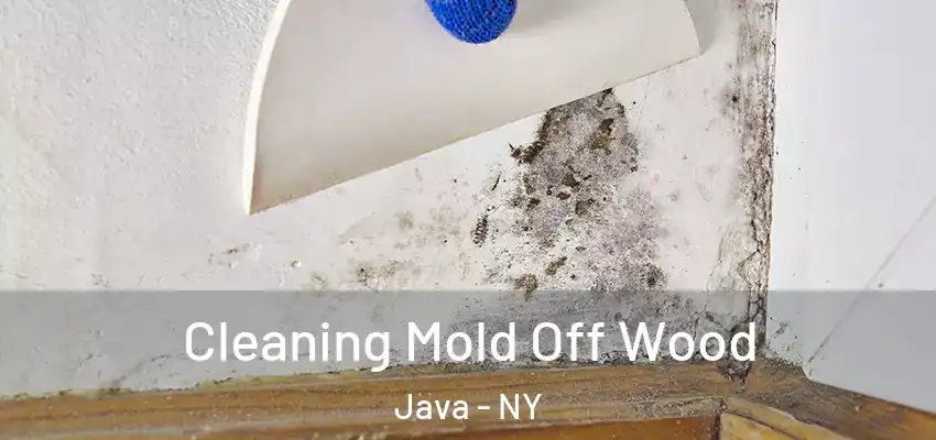 Cleaning Mold Off Wood Java - NY