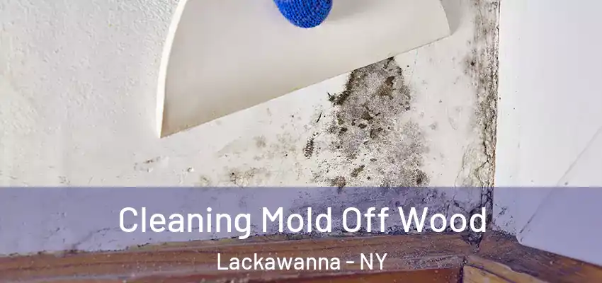 Cleaning Mold Off Wood Lackawanna - NY