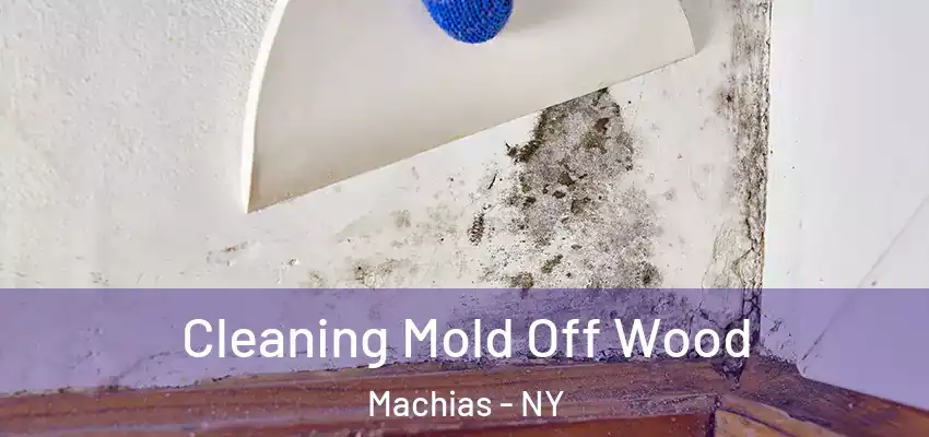  Cleaning Mold Off Wood Machias - NY