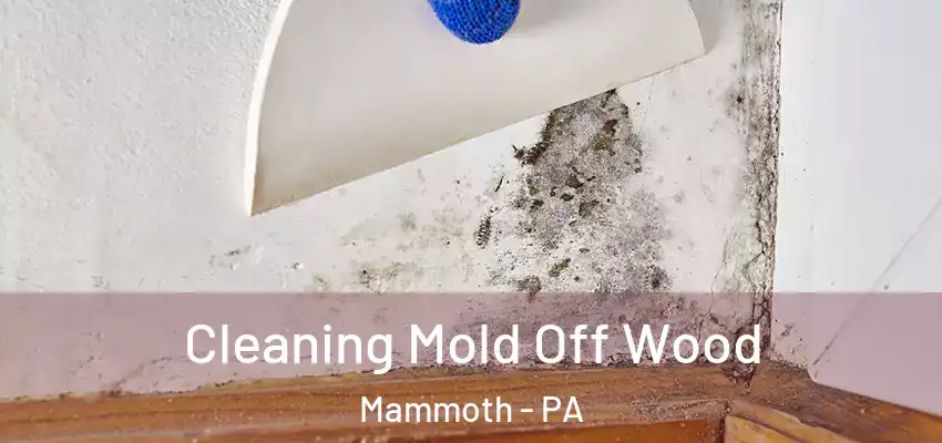  Cleaning Mold Off Wood Mammoth - PA