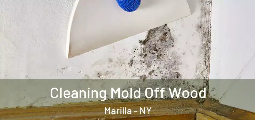 Cleaning Mold Off Wood Marilla - NY