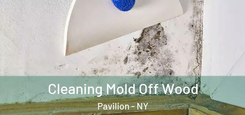  Cleaning Mold Off Wood Pavilion - NY