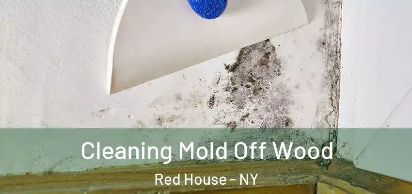  Cleaning Mold Off Wood Red House - NY