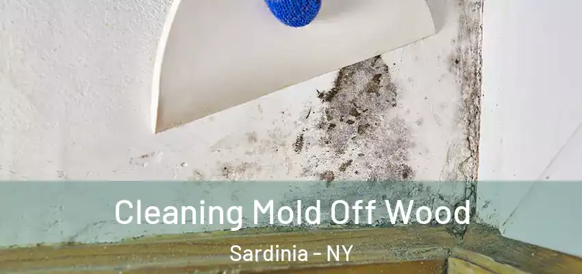  Cleaning Mold Off Wood Sardinia - NY