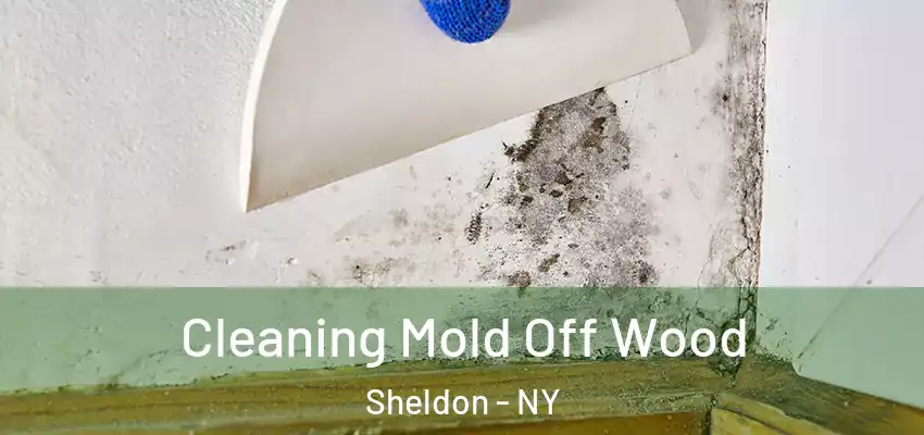  Cleaning Mold Off Wood Sheldon - NY