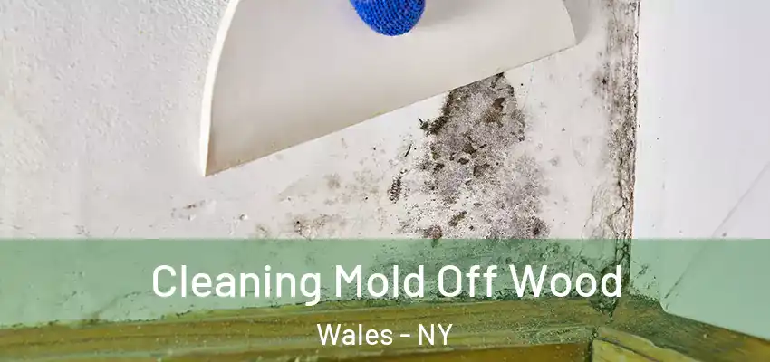  Cleaning Mold Off Wood Wales - NY