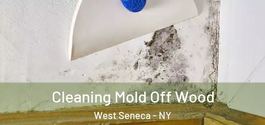  Cleaning Mold Off Wood West Seneca - NY
