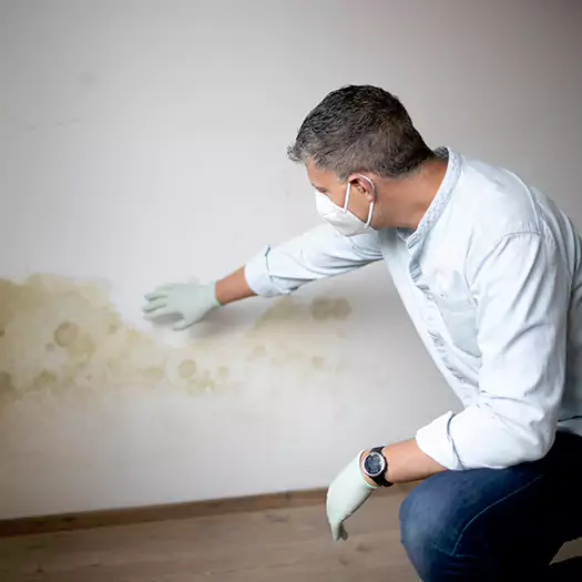 Trusted Mold Remediation and Removal Experts in Batavia, NY