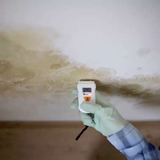 Reliable Mold Inspection Experts in Batavia, NY
