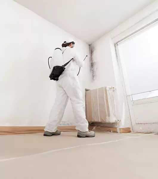 Specialists in All Areas of Mold Remediation and Water Damage Restoration in Batavia, NY