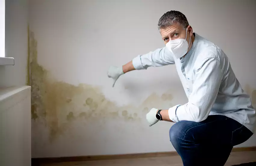 Mold Removal in Batavia, NY