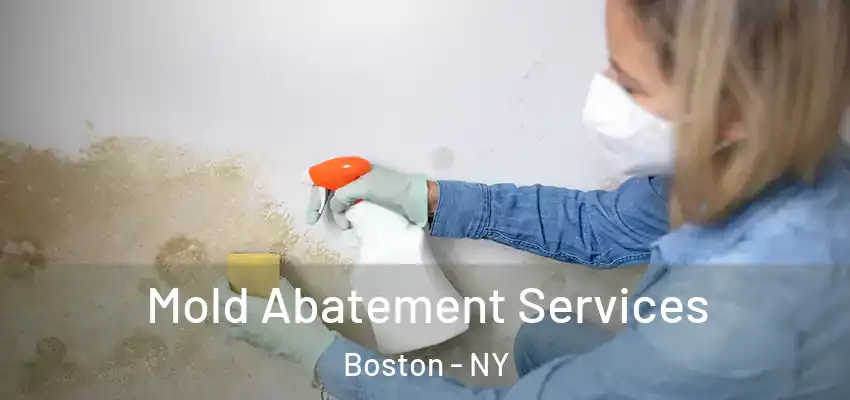 Mold Abatement Services Boston - NY