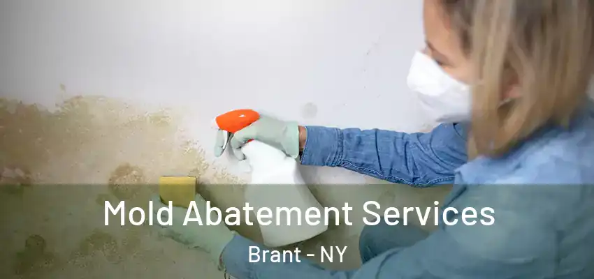  Mold Abatement Services Brant - NY