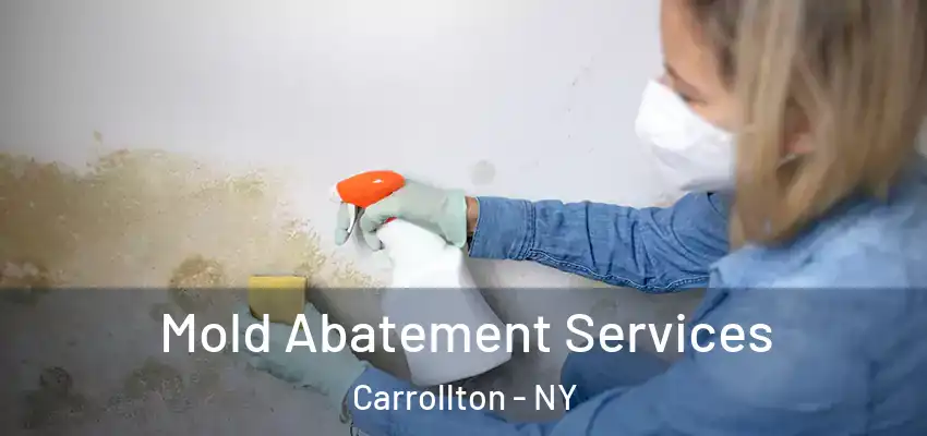  Mold Abatement Services Carrollton - NY
