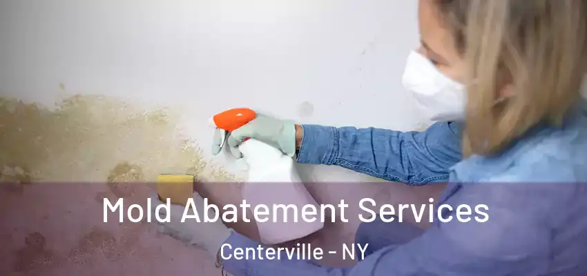  Mold Abatement Services Centerville - NY