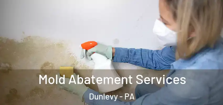  Mold Abatement Services Dunlevy - PA