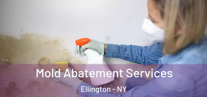  Mold Abatement Services Ellington - NY