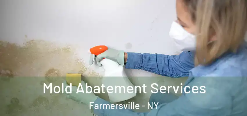  Mold Abatement Services Farmersville - NY