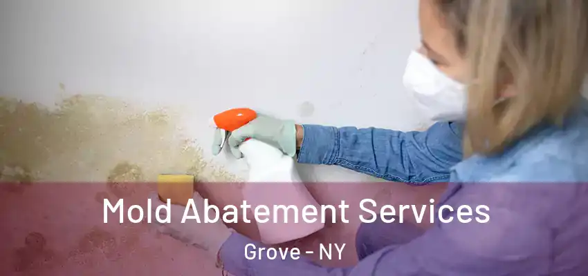  Mold Abatement Services Grove - NY