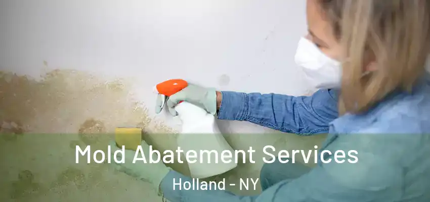  Mold Abatement Services Holland - NY