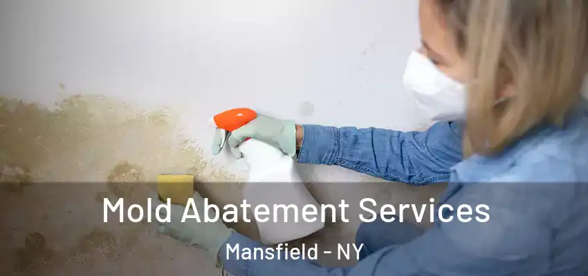  Mold Abatement Services Mansfield - NY