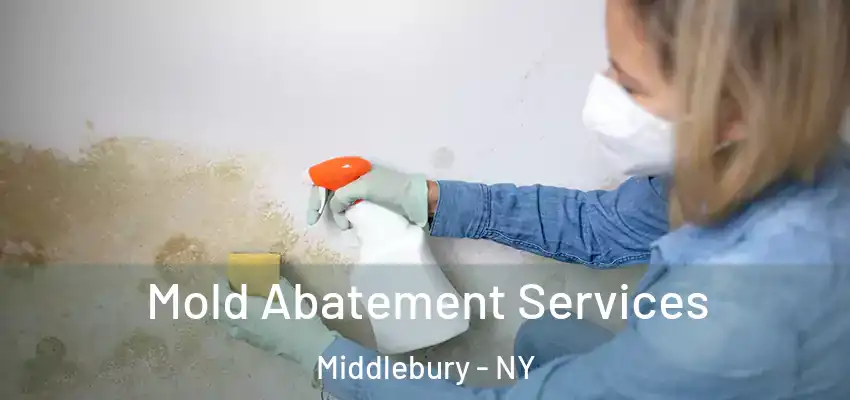  Mold Abatement Services Middlebury - NY