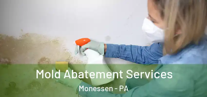  Mold Abatement Services Monessen - PA