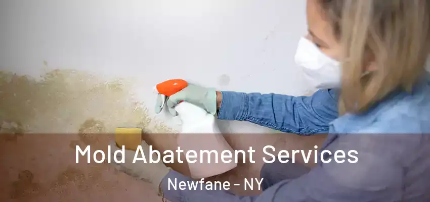  Mold Abatement Services Newfane - NY