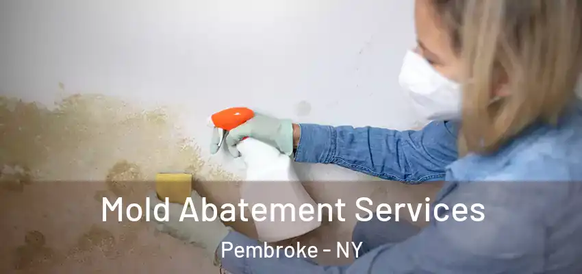  Mold Abatement Services Pembroke - NY