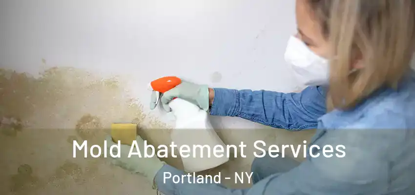  Mold Abatement Services Portland - NY