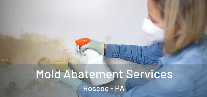  Mold Abatement Services Roscoe - PA