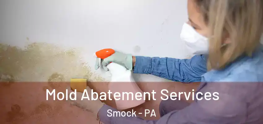  Mold Abatement Services Smock - PA