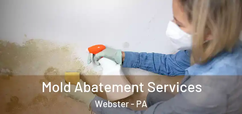  Mold Abatement Services Webster - PA