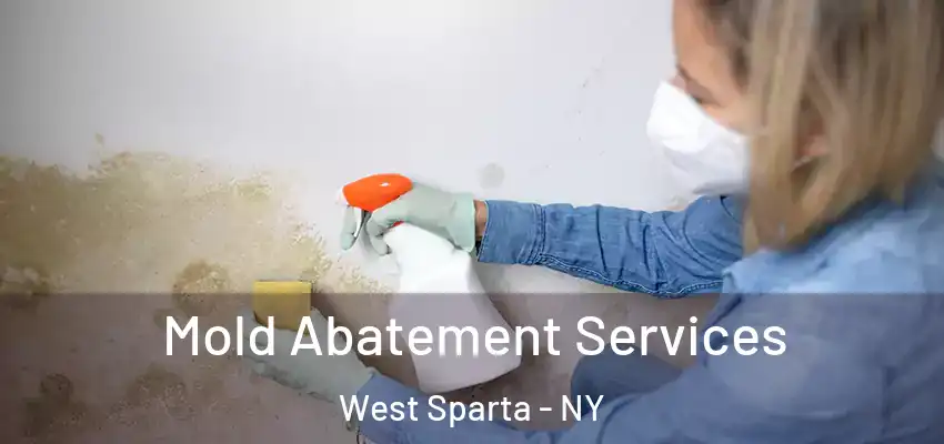  Mold Abatement Services West Sparta - NY