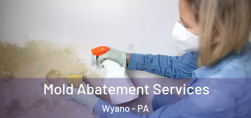  Mold Abatement Services Wyano - PA
