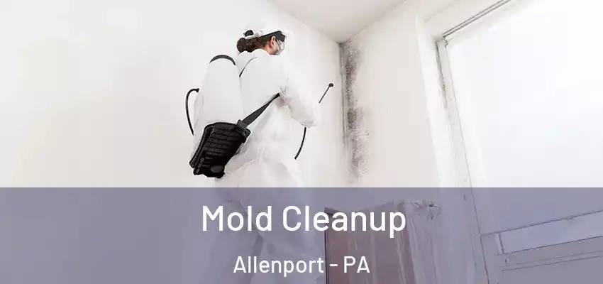  Mold Cleanup Allenport - PA