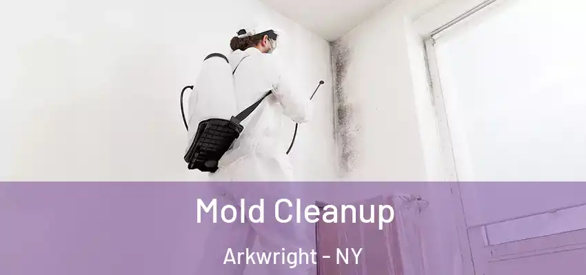  Mold Cleanup Arkwright - NY