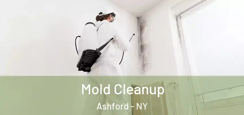  Mold Cleanup Ashford - NY