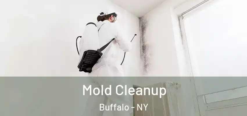  Mold Cleanup Buffalo - NY
