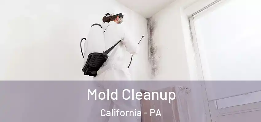  Mold Cleanup California - PA