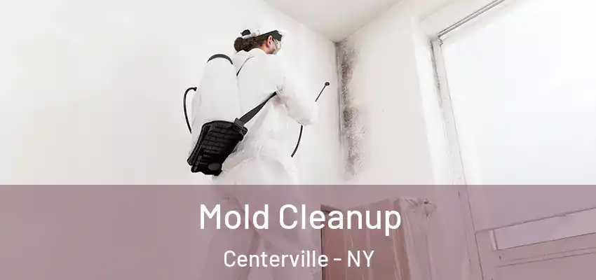  Mold Cleanup Centerville - NY