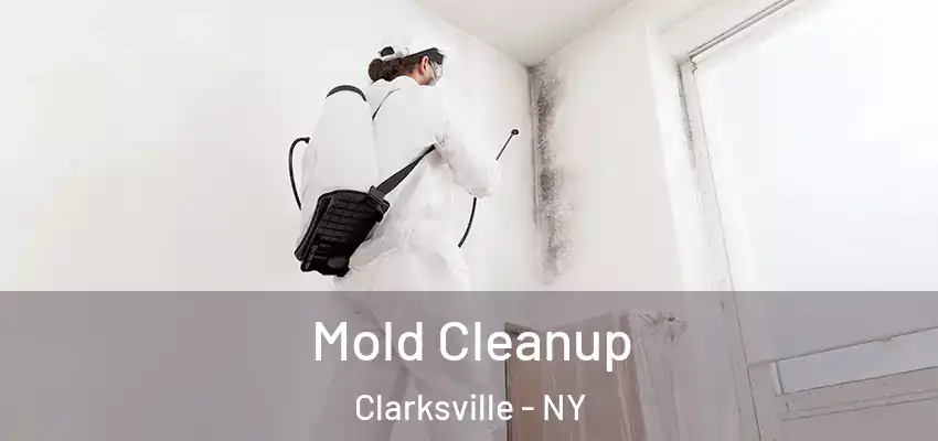  Mold Cleanup Clarksville - NY