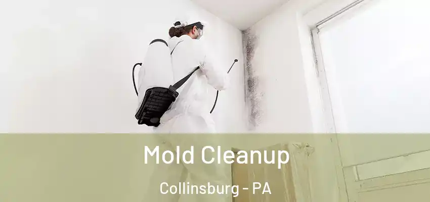  Mold Cleanup Collinsburg - PA