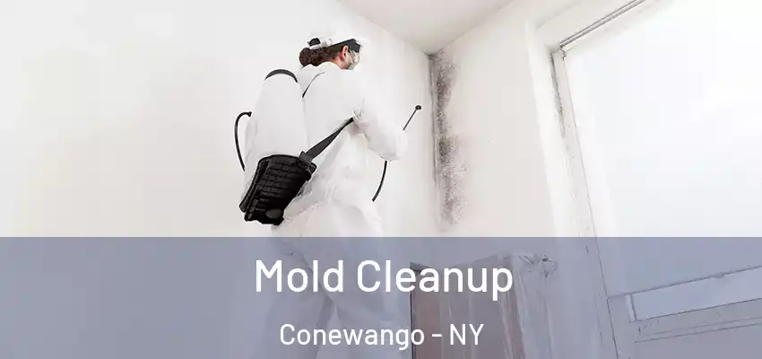  Mold Cleanup Conewango - NY