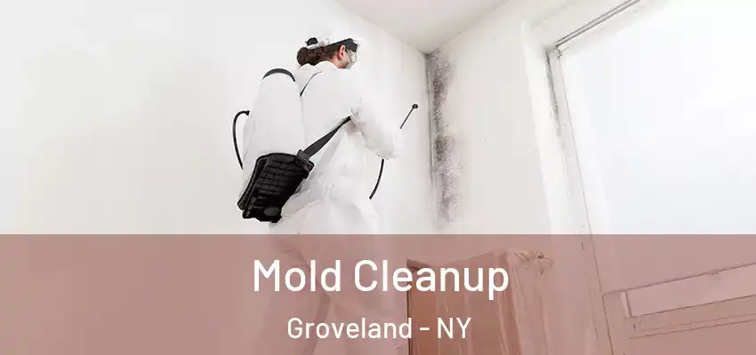  Mold Cleanup Groveland - NY
