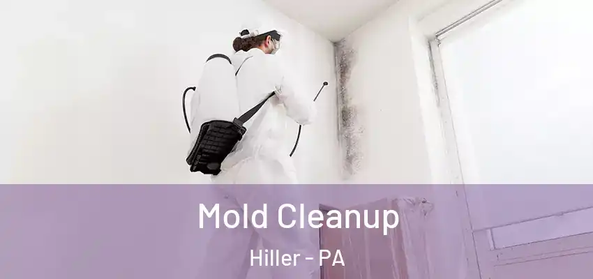  Mold Cleanup Hiller - PA